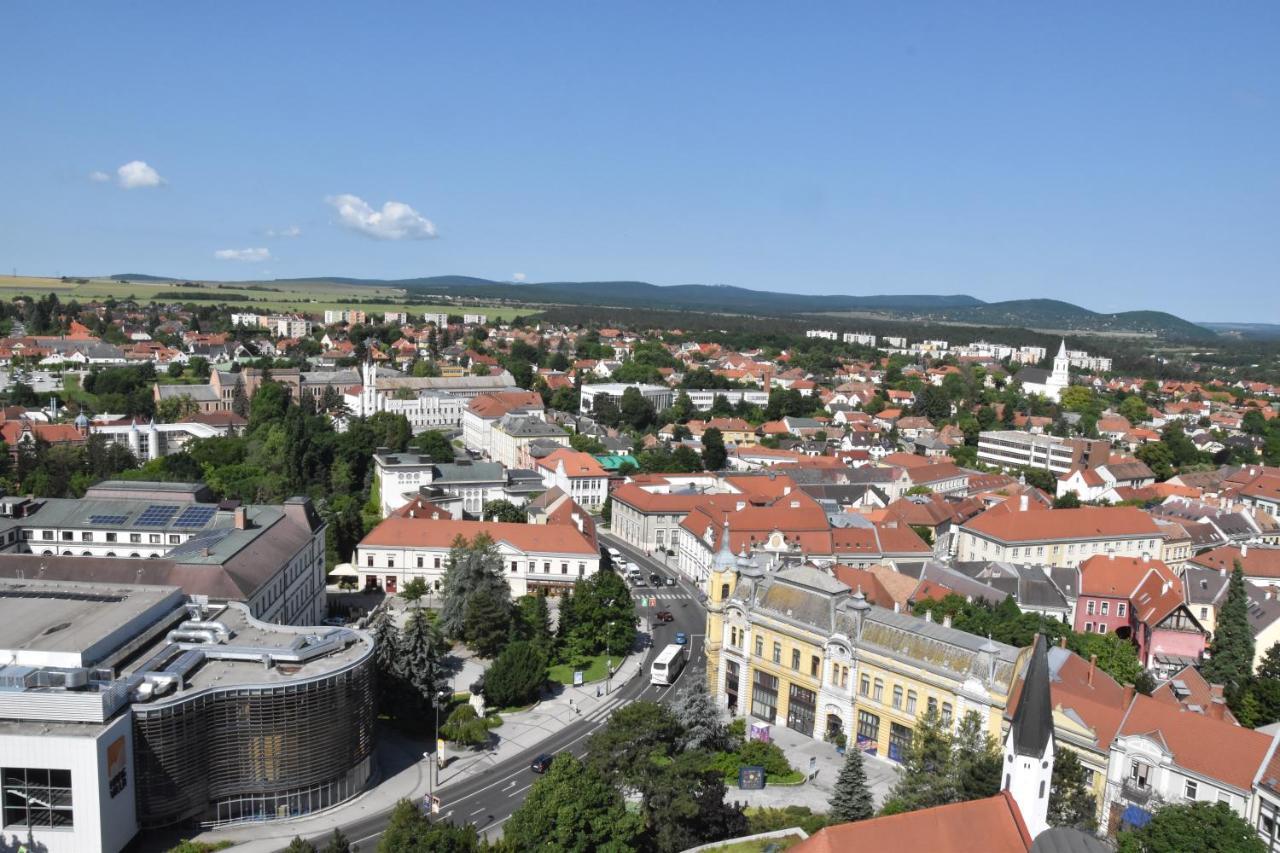 Panorama View Family Apartment Veszprém Exterior foto